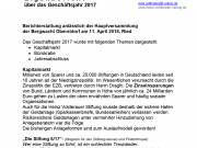 Eigenbericht über das Geschäftsjahr 2017 Seite 1 Eigenbericht über das Geschäftsjahr 2017 Seite 1